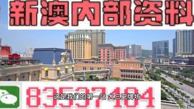 2024澳门精准正版资料-精选解释解析落实