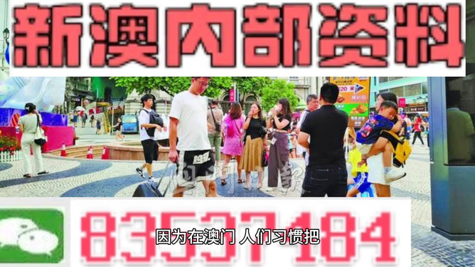 2024新澳精准资料免费提供下载-精选解释解析落实