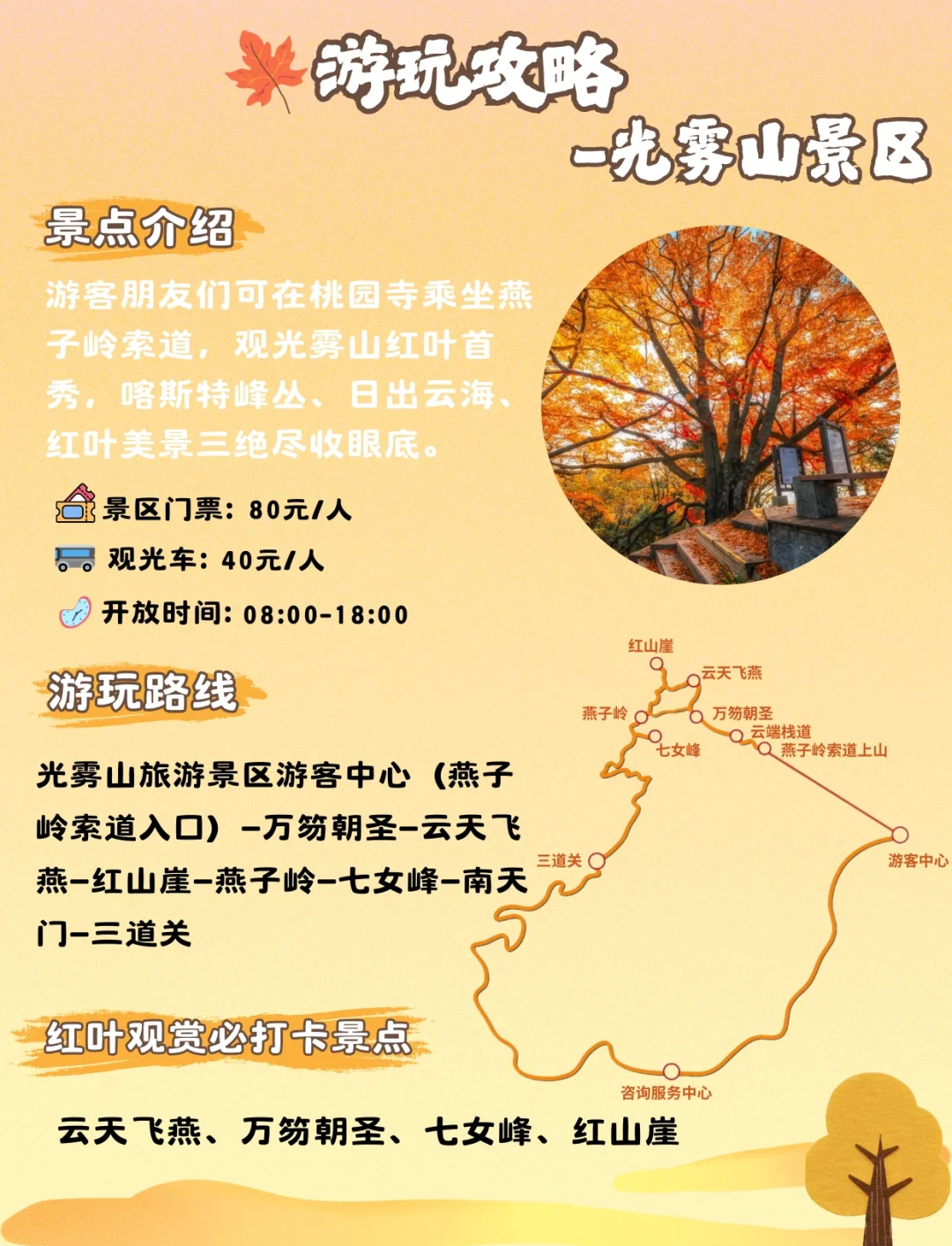 光雾山旅游攻略，最新指南与探索