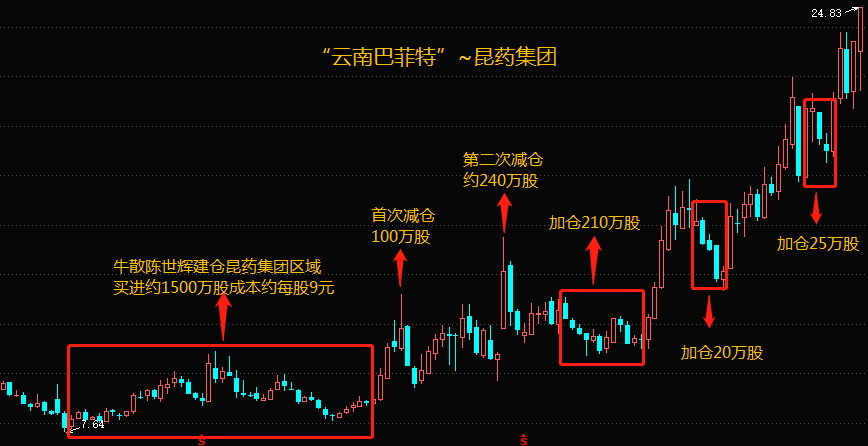 陈世辉最新持股动态，深度探究与前景展望